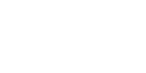 Pegasus Technologies